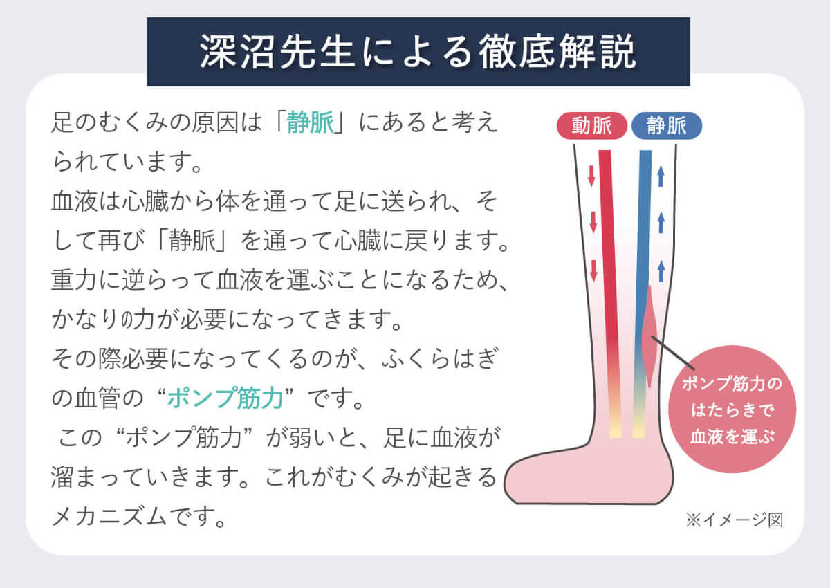 瞬間スリムレギンス（おやすみ・リラックス用）: レッグウェア