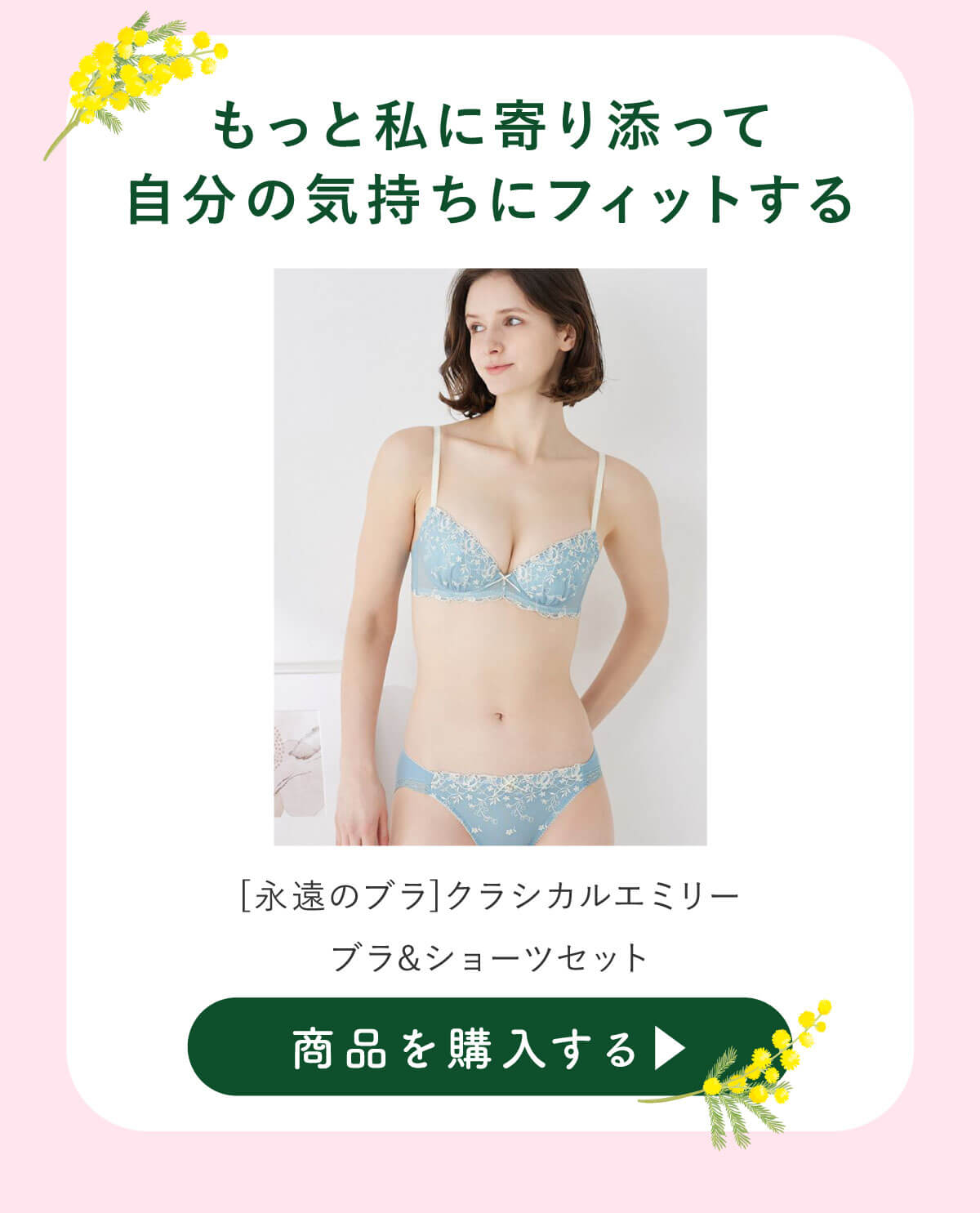 [�i���̃u��]�N���V�J���G�~���[�u�����V���[�c�Z�b�g