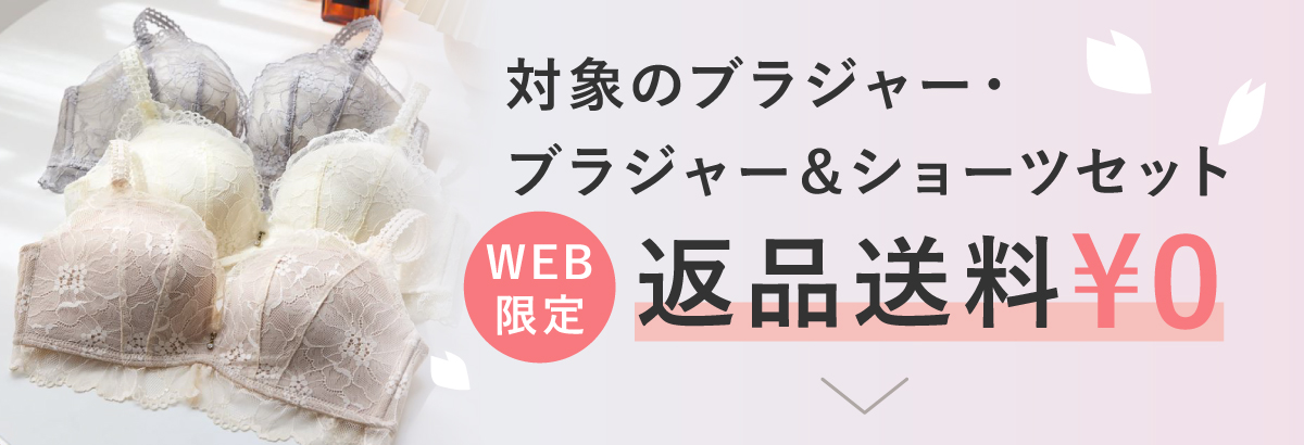 WEB����u���W���[�ԕi��������