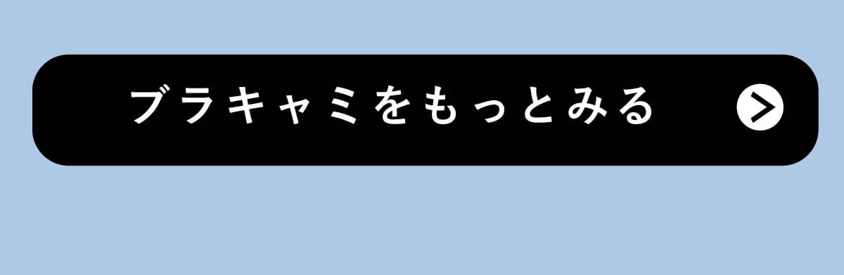 �u���L���~�������Ƃ݂�