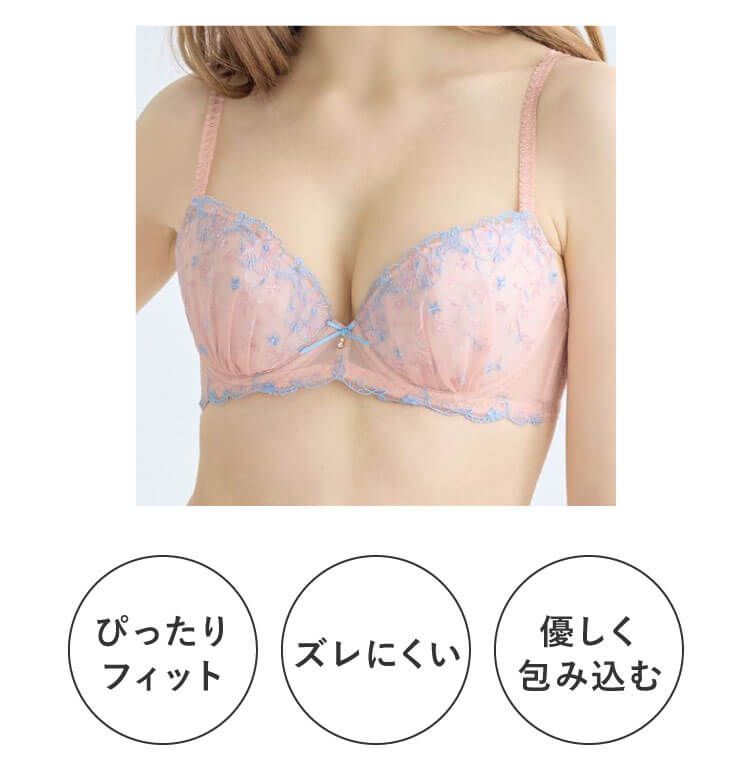 �i���̃u���@3�̋@�\�|�C���g
