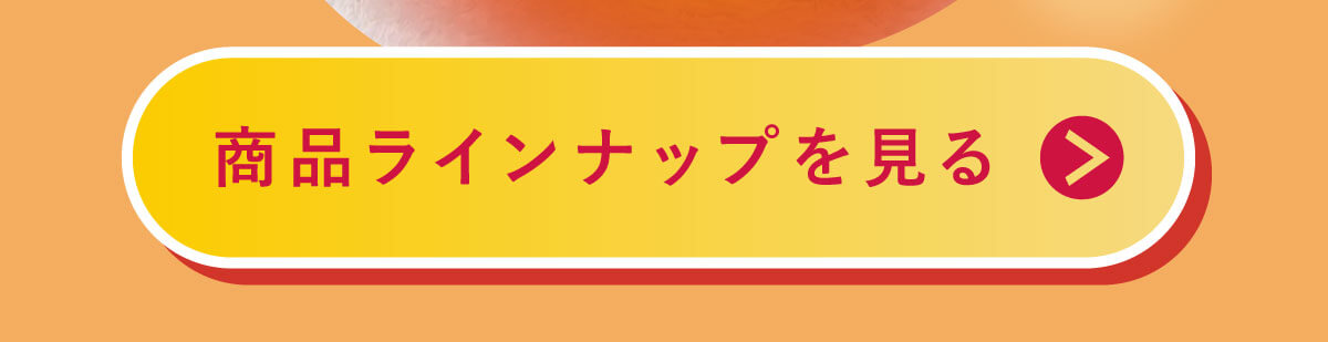 �₦�Ɍ����c�{���W�����Ă������ߒ��p���{3.3���ɁI