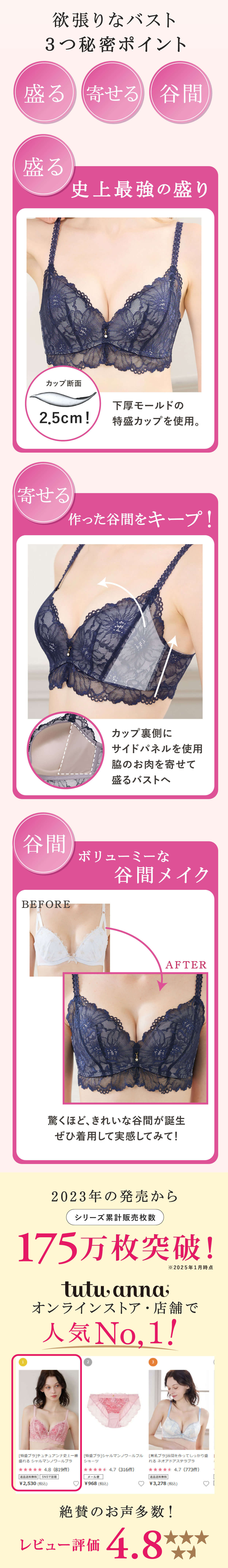 ����R�̔閧_�݌v�̔�����_���r���[�]��