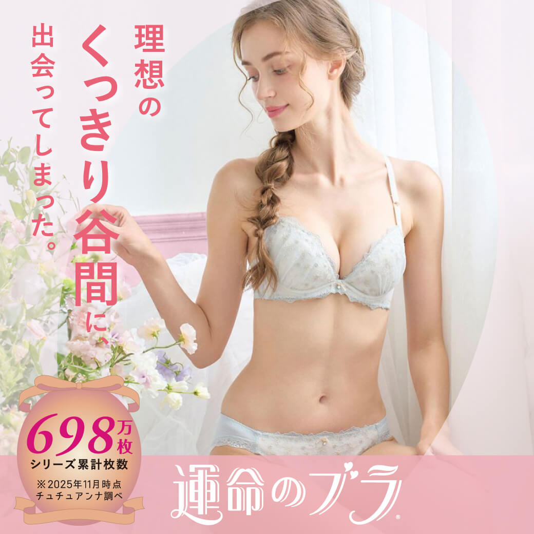 �V���[�Y�݌v698�����˔j�I�^���̃u��