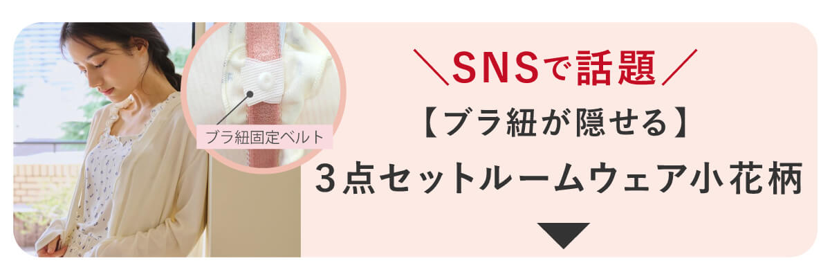 �V���[�g�p���c ���ԕ�