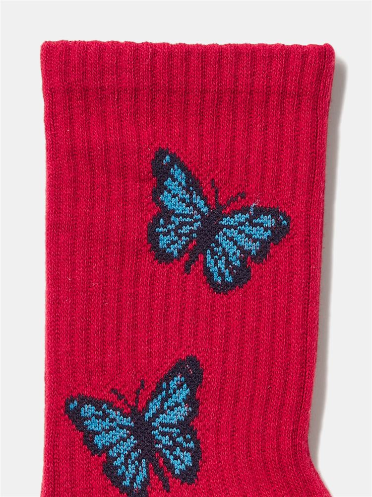 チュチュアンナの綿混アメリブ蝶柄ソックス18cm丈|249339