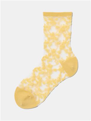 �C�G���[�J���V