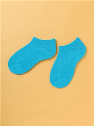 �^�[�R�C�Y�u���[