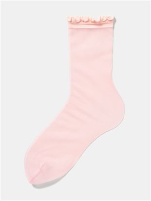 �V�F���s���N