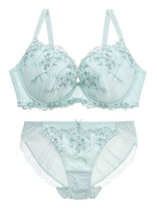 �u���[�O���[��