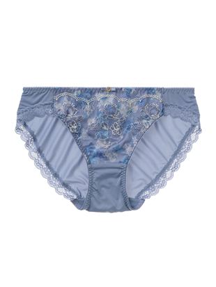 �u���[�O���[