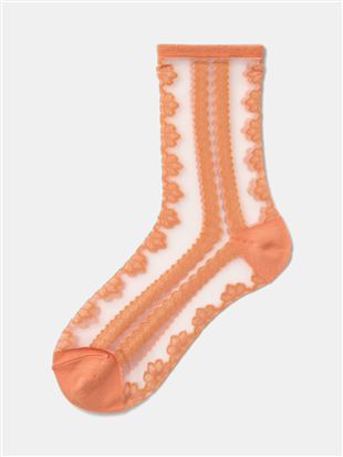 �I�����W