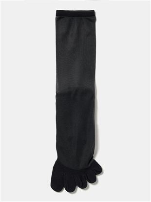 ���C�g�x�[�W��