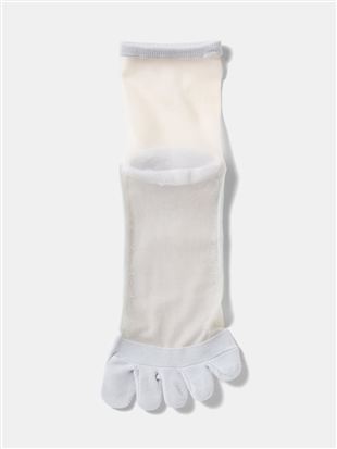 �E�X�O���[