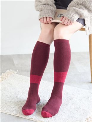 �G���W