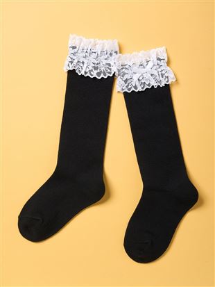 [�L�b�Y]�ȍ����������[�X�t�����n�n�C�\�b�N�X�b�L�b�Y�\�b�N�X