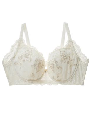 [TOP UPu]Ii[XubC[̃uW[