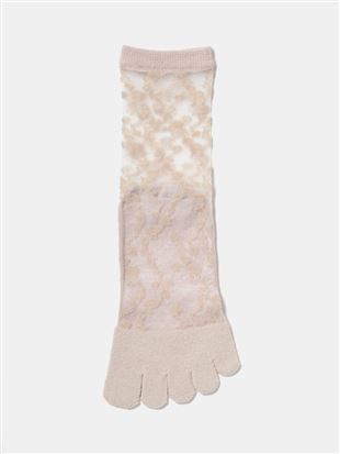 ܂őfÎ悤ɗ ȂԕܐVNV[X[5{w\bNX14cmb