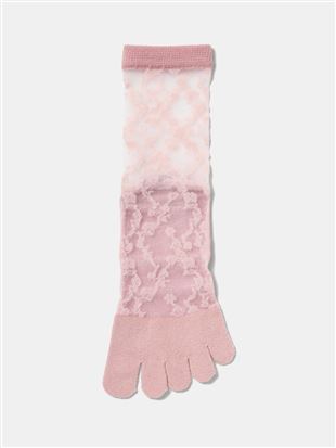 ܂őfÎ悤ɗ ȂԕܐVNV[X[5{w\bNX14cmb