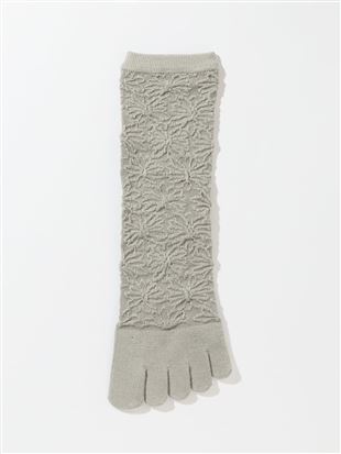 �ȍ��t���[�g�}�[�K���b�g����5�{�w�\�b�N�X14cm��b
