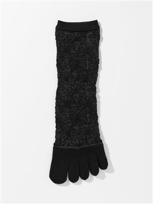 �ȍ��t���[�g�}�[�K���b�g����5�{�w�\�b�N�X14cm��b
