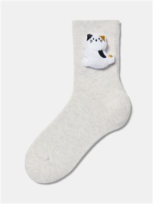 ȍ}XRbgt\bNX15cmbN[\bNX