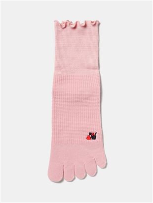 ȍ胁[n[gLhJ5{w\bNXb5{w\bNX