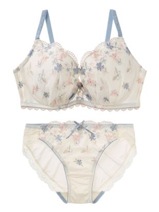 [ĩu]Ru[Pu&V[cZbg(傫ȋ^Cv)b