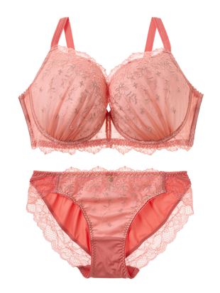 [^̃u]VRu[u&V[cZbg(傫ȋ^Cv)bC[̃uV[cZbg