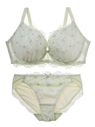 [ĩu]XmEtH[u&V[cZbg(傫ȋ^Cv)bC[̃uV[cZbg