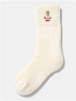 [܂ŃJĈ悤Ȓg]xݎhJ\bNX20cmbN[\bNX