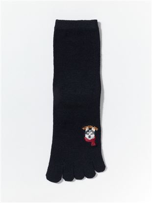 JV~EB^[hbOhJ5{w\bNX16cmb