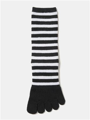 [܂ŖѕzÎ悤ȒgE]{[_[5{w\bNX21cmb