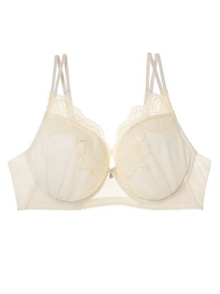 [�傫�ȋ��������������钅�₹�u��]�R���p�N�g�h���X�u���b���C���[����̃u���W���[