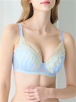 [傫ȋ钅₹u]RpNghXubC[̃uW[