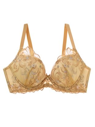 [TOP UPu]ueBbVCu[ubC[̃uW[