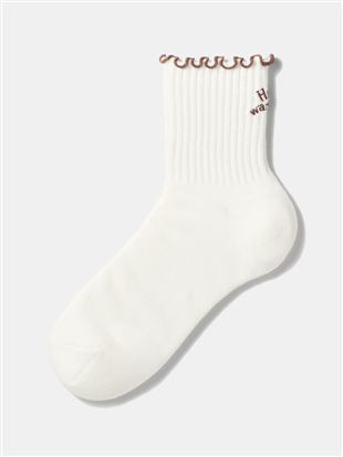 �ȍ����S�h�J�����[���u�\�b�N�X13cm��b