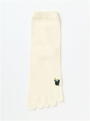 DRY���L���L�ƉԎh�J5�{�w�\�b�N�X14cm��b