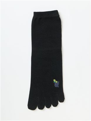 DRY���L���L�ƉԎh�J5�{�w�\�b�N�X14cm��b