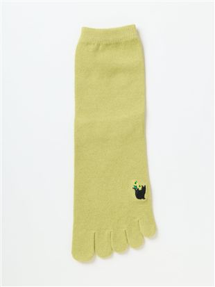 DRY���L���L�ƉԎh�J5�{�w�\�b�N�X14cm��b