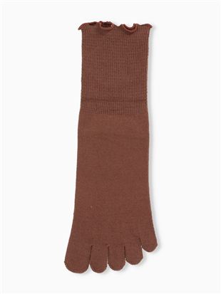 DRY���L������������胁���[5�{�w�\�b�N�X15cm��b