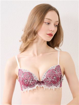 [�O���}�W�b�N�E�񂹂�]���u���G�r�W���[�u���b���C���[����̃u���W���[