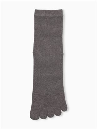 [�����Y]�Ƃɂ���������Ɨ������IDRY���L�b���b�V��5�{�w�\�b�N�X16cm��b