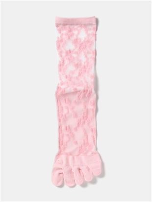 ����ȂŃ����ɂ��� ���ԕ��V�[�X���[5�{�w�\�b�N�X16cm��b5�{�w�\�b�N�X