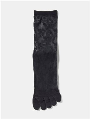 ����ȂŃ����ɂ��� ���ԕ��V�[�X���[5�{�w�\�b�N�X16cm��b5�{�w�\�b�N�X