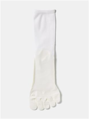 ����ȂŃ����ɂ��� �����V�[�X���[5�{�w�\�b�N�X16cm��b5�{�w�\�b�N�X