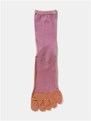 ����ȂŃ����ɂ��� �����V�[�X���[5�{�w�\�b�N�X16cm��b5�{�w�\�b�N�X