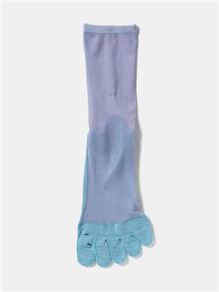 ����ȂŃ����ɂ��� �����V�[�X���[5�{�w�\�b�N�X16cm��b5�{�w�\�b�N�X