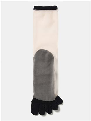 ����ȂŃ����ɂ��� �X�g�b�L���O��5�{�w�\�b�N�X�b5�{�w�\�b�N�X