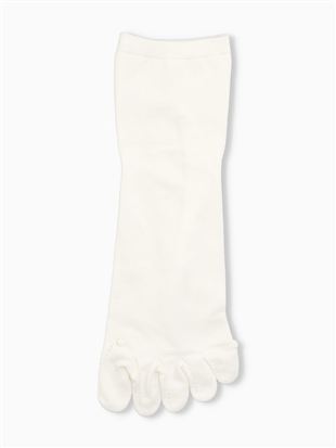 [�Ƃɂ���������Ɨ�����]���L�����n5�{�w�\�b�N�X10cm��b5�{�w�\�b�N�X